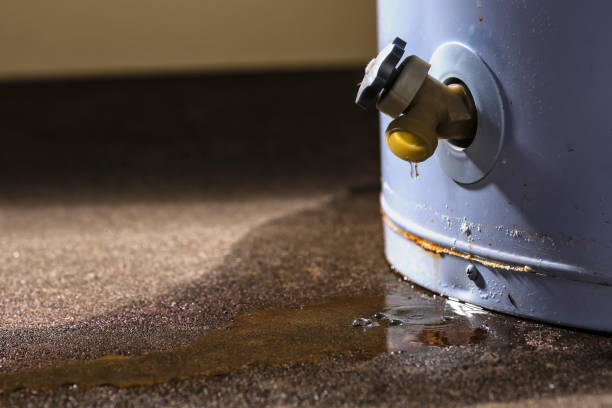 Best Flood damage cleanup  in Englewood, TN