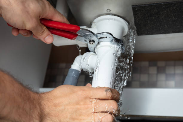 Best Carpet water damage restoration  in Englewood, TN
