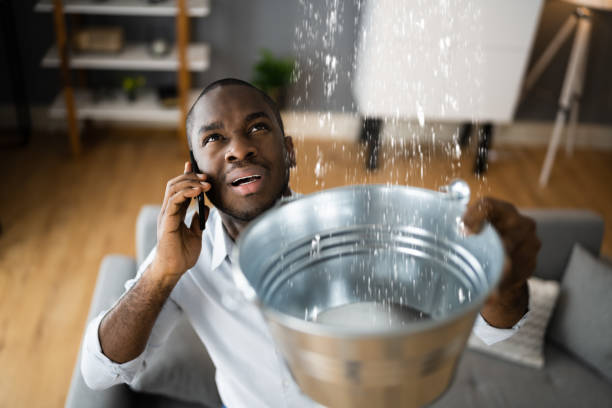 Best Water damage contractors near me  in Englewood, TN