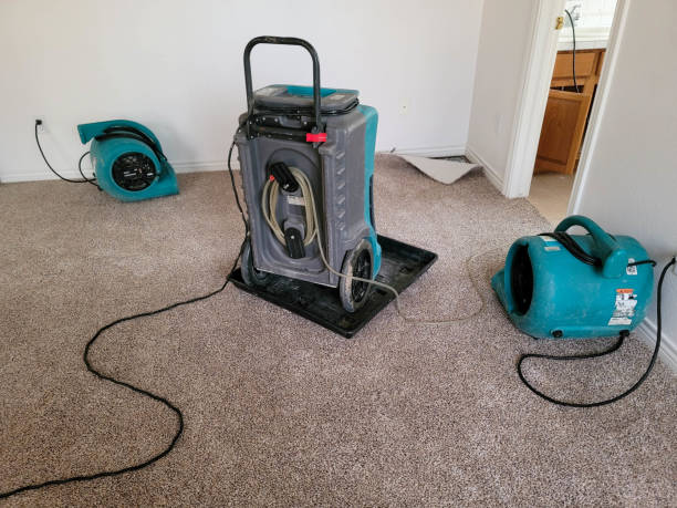 Best Flood restoration services  in Englewood, TN