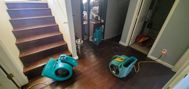 Best 24/7 water damage repair  in Englewood, TN