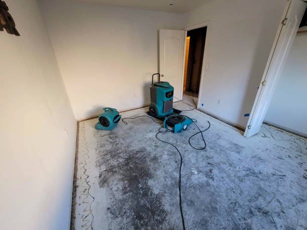  Englewood, TN Water damage restoration Pros