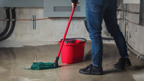 Best Basement water damage restoration  in Englewood, TN
