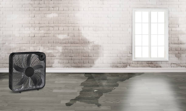 Best Fire Damage Restoration  in Englewood, TN