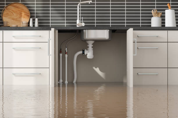 Professional Water damage restoration in Englewood, TN