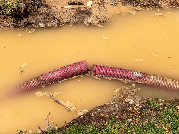 Best Residential water damage restoration  in Englewood, TN
