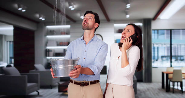Best Mold removal after water damage  in Englewood, TN